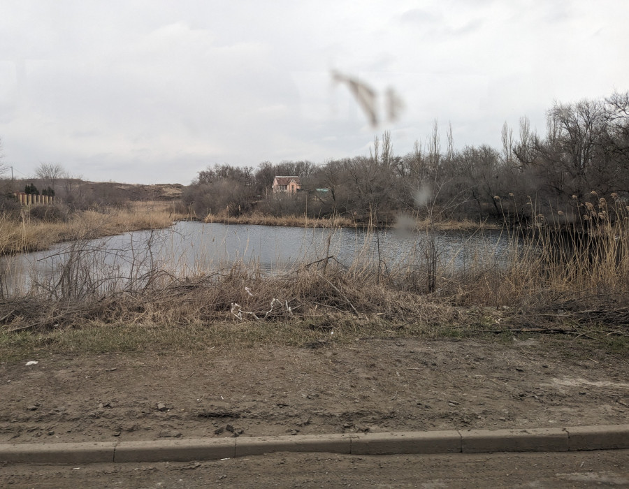 pxl_20240314_073844648.jpg