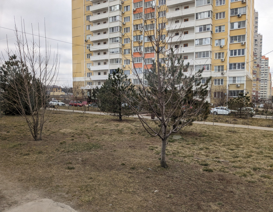 pxl_20240314_074412397.jpg