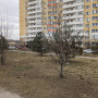 pxl_20240314_074412397.jpg