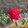 img_20251128_133647_578.jpg